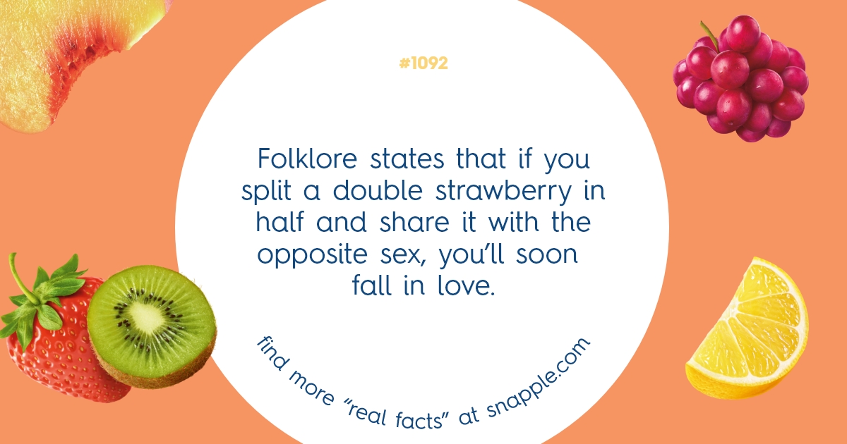 Explore Our Bottle Cap Real Facts 1092 Snapple