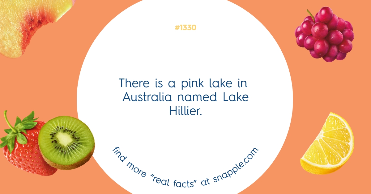 Explore Our Bottle Cap Real Facts 1330 Snapple