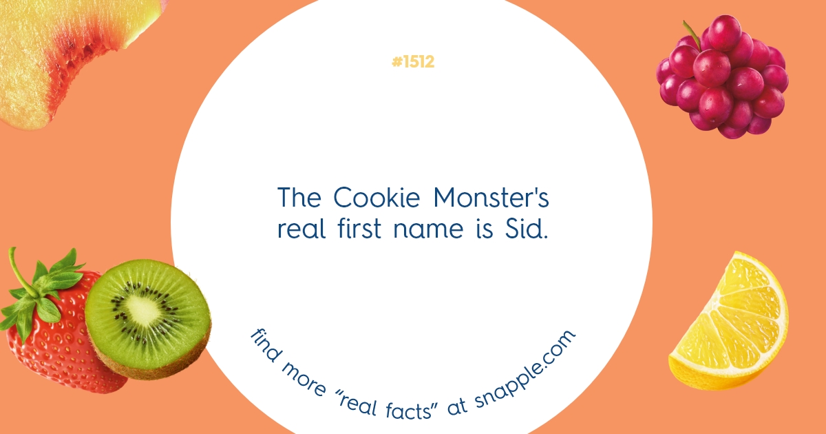 Explore Our Bottle Cap Real Facts 1512 Snapple