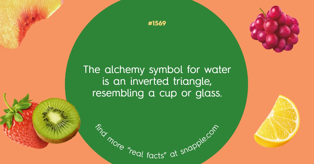 Explore Our Bottle Cap Real Facts 1569 Snapple