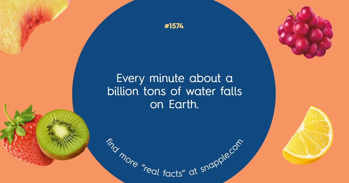 explore-our-bottle-cap-real-facts-1574-snapple