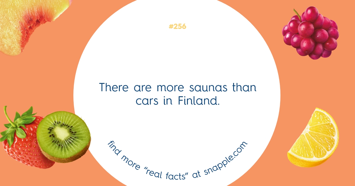 Explore Our Bottle Cap Real Facts 256 Snapple