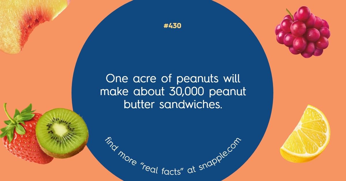 Explore Our Bottle Cap Real Facts 430 Snapple