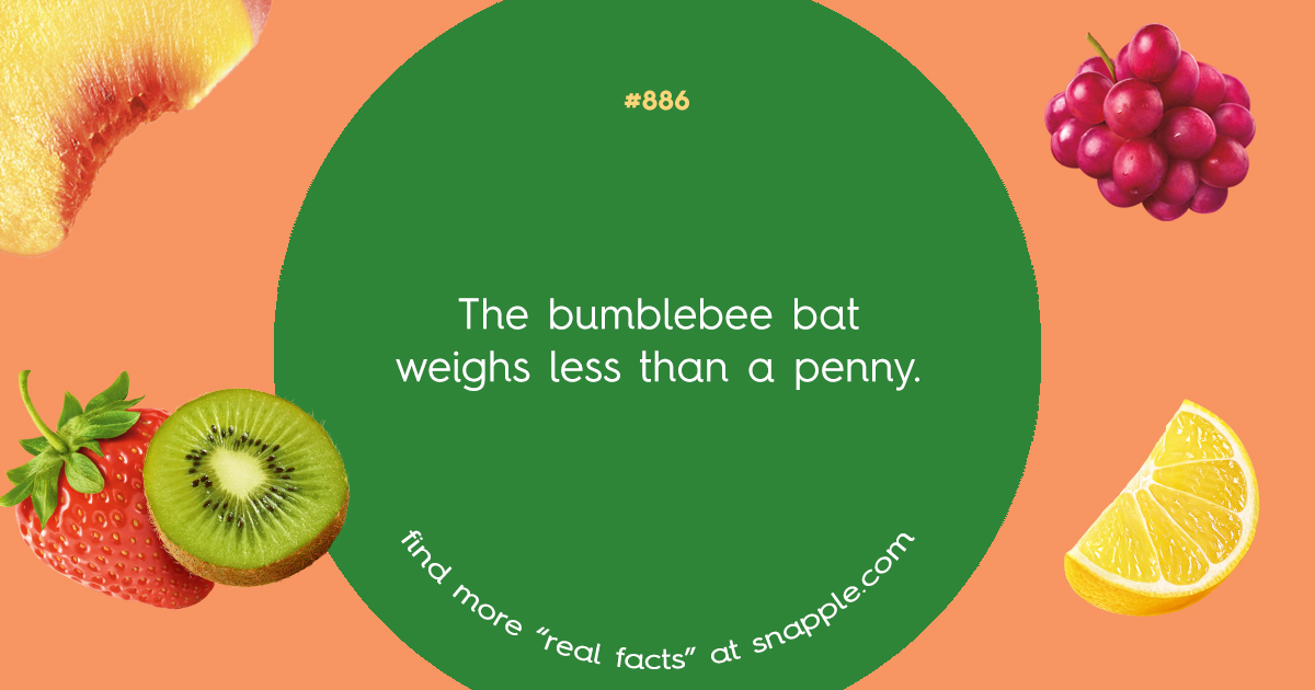 Explore Our Bottle Cap Real Facts 886 Snapple