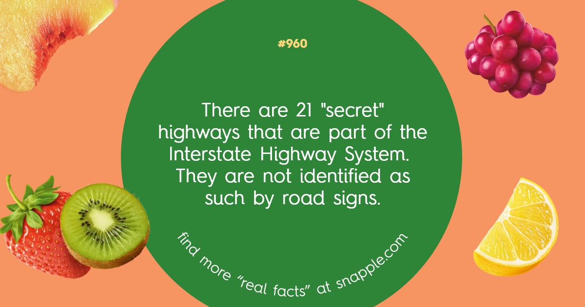 Explore Our Bottle Cap Real Facts 960 Snapple