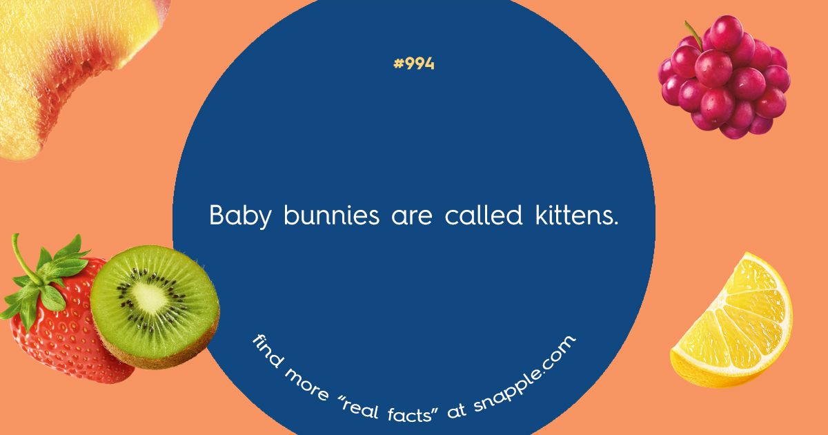 Explore Our Bottle Cap Real Facts 994 Snapple